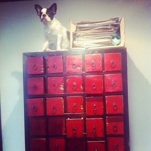 #mandl #advertising #hongkong #office #naughty #dog -  mandl